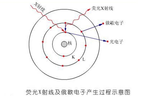 熒光X射線及俄歇電子產(chǎn)生過程示意圖