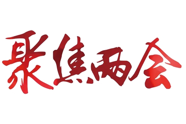 解讀兩會(huì)：實(shí)現(xiàn)高端儀器“中國(guó)造”